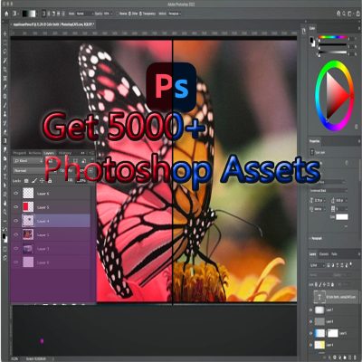5000+ Adobe Premiere Assets 1.0